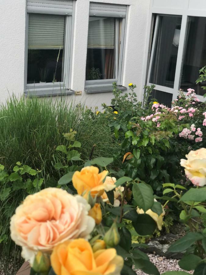 Ernst-Ludwig-Promenade Apartment Bensheim Luaran gambar